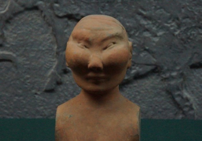 DSC06694.jpg