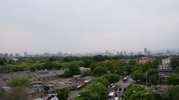 DSC06769.jpg