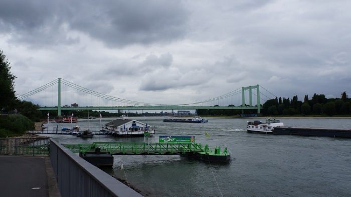 DSC09554.jpg