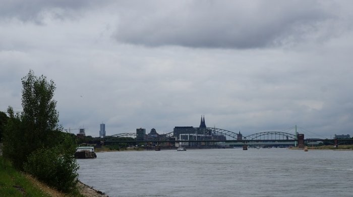 DSC09556.jpg
