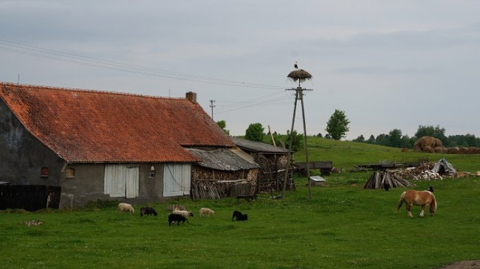 DSC07842.jpg