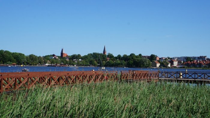 DSC08169.jpg