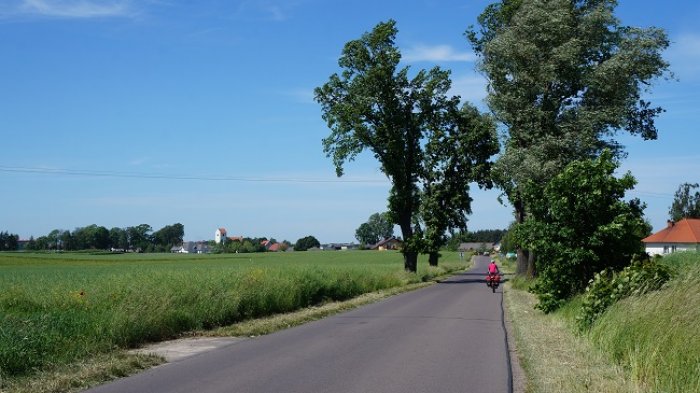 DSC08187.jpg