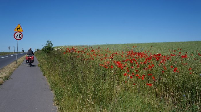 DSC08390.jpg