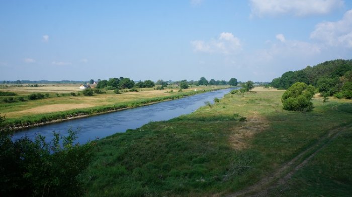 DSC08436.jpg