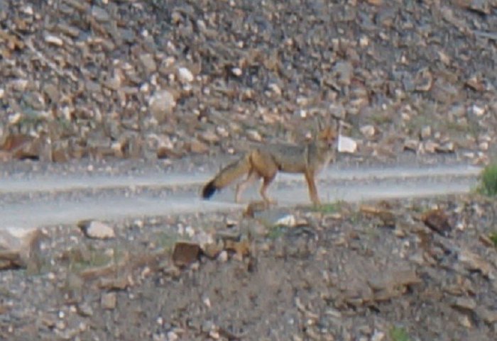 DSC06821.jpg
