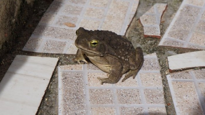 DSC05506.jpg