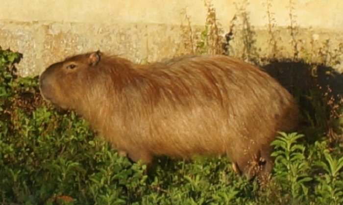 DSC05512.jpg