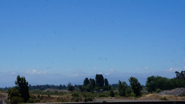 DSC07499.jpg