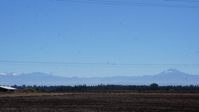 DSC07549.jpg
