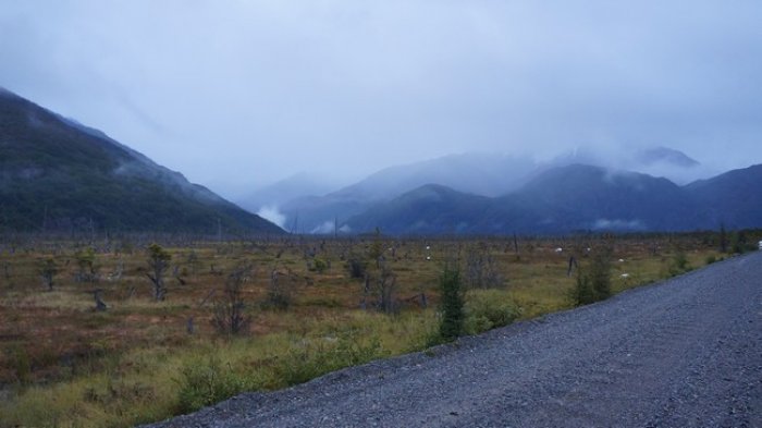 DSC09469.jpg
