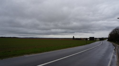DSC01335.jpg