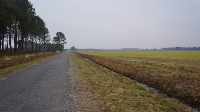 DSC02006.JPG