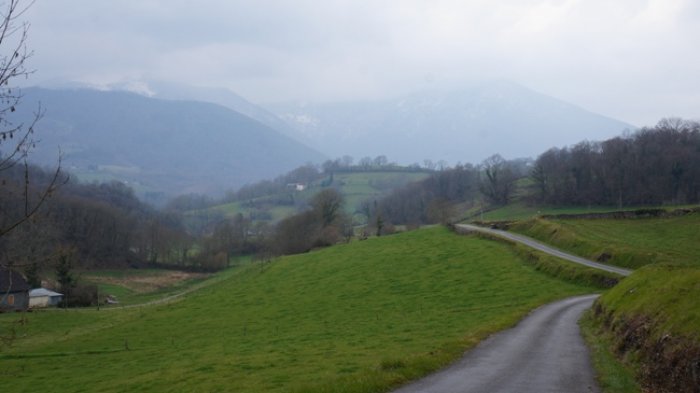 DSC02071.JPG