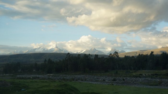DSC05316.jpg