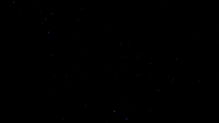 DSC07425.jpg