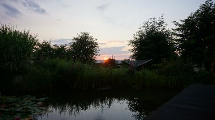 DSC00140.JPG