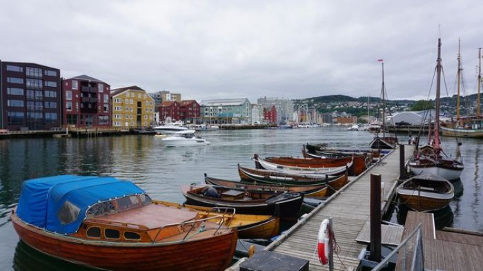 DSC08248.JPG