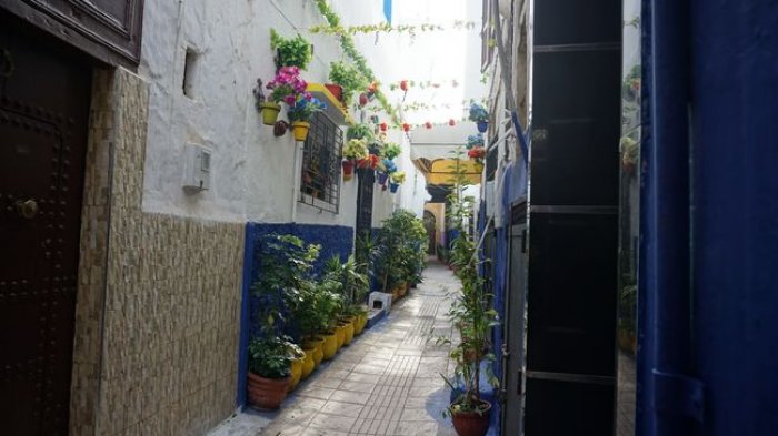 DSC09174.JPG