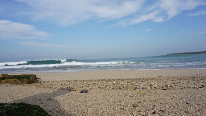 DSC09184.JPG