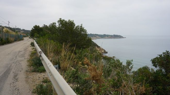 DSC01495.JPG